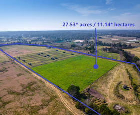 Rural / Farming commercial property for sale at 31 Pitt Town Bottoms Road Pitt Town NSW 2756