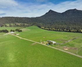 Rural / Farming commercial property for sale at 158 Lees Road Western Creek TAS 7304