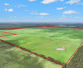 Rural / Farming commercial property sold at 130, 200 & 240 Tin Dish Road Irrewillipe VIC 3249