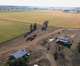 Rural / Farming commercial property for sale at Forest Vale 3637 Fifield Road Trundle NSW 2875