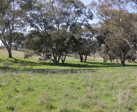 Rural / Farming commercial property sold at Lot/6 Cattle Street Binalong NSW 2584