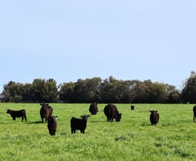 Rural / Farming commercial property sold at 536 O'Brien Road Lockington VIC 3563