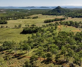 Rural / Farming commercial property sold at Lot 61 Mount Ossa-Seaforth Road Seaforth QLD 4741