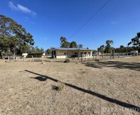 Rural / Farming commercial property for sale at Kumbarilla QLD 4405
