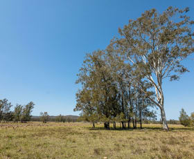 Rural / Farming commercial property for sale at 71 Red Root Road Pillar Valley NSW 2462