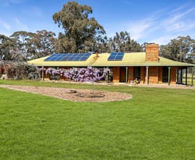 Rural / Farming commercial property sold at 385 Timor Road Bowenvale VIC 3465