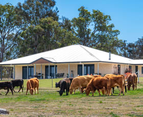 Rural / Farming commercial property for sale at 964 Bruxner Highway Tenterfield NSW 2372