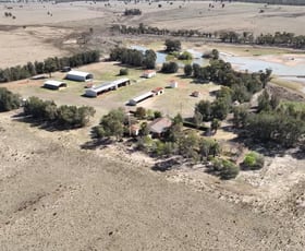 Rural / Farming commercial property sold at 'Bruie' 2765 Bruie Plains Road Trundle NSW 2875
