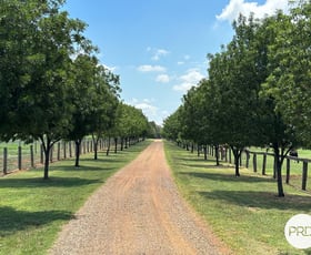 Rural / Farming commercial property sold at 470 Dalswinton Road Denman NSW 2328
