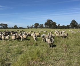 Rural / Farming commercial property for sale at . O'Keeffe Road Culcairn NSW 2660 Rural / Farming commercial property for sale at . O'Keeffe Road Culcairn NSW 2660