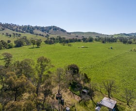 Rural / Farming commercial property sold at 22 School Road Coolac NSW 2727