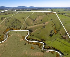 Rural / Farming commercial property sold at Lot 1 Odwyers Road Forbes VIC 3764