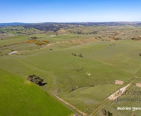 Rural / Farming commercial property for sale at Lot 1 Odwyers Road Kilmore VIC 3764
