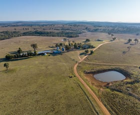 Rural / Farming commercial property sold at ‘Summer Hill & Rosedale’ Aggregation, Summerhill Road Cassilis NSW 2329