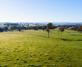 Rural / Farming commercial property sold at 171 Keajura Road Tarcutta NSW 2652