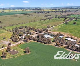 Rural / Farming commercial property for sale at 235 Clearview Road Savernake NSW 2646