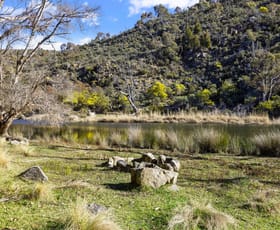 Rural / Farming commercial property sold at 1081 Avonside Road Avonside NSW 2628