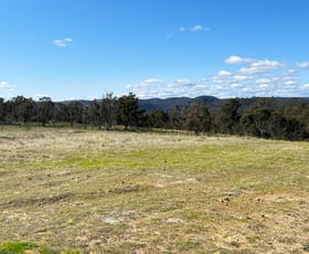 Rural / Farming commercial property sold at Lot 163 Hanworth Road Bannaby NSW 2580