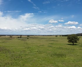 Rural / Farming commercial property for sale at Nellie Vale Middle Trundle Road Trundle NSW 2875