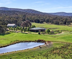 Rural / Farming commercial property sold at 40 Bangalore Place Goulburn NSW 2580