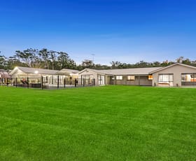 Rural / Farming commercial property for sale at 494 Putty Road Wilberforce NSW 2756