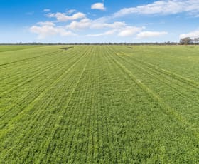 Rural / Farming commercial property for sale at 182 Bowdens Bridge Road Lake Charm VIC 3581