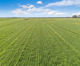 Rural / Farming commercial property sold at 182 Bowdens Bridge Road Lake Charm VIC 3581
