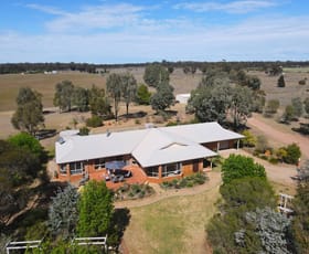 Rural / Farming commercial property sold at 449 Mid Western Highway West Wyalong NSW 2671