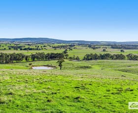 Rural / Farming commercial property sold at 157 Holden Grove Beaufort VIC 3373