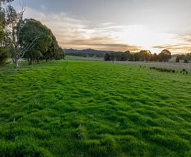 Rural / Farming commercial property for sale at 290 Nugents Road Humula NSW 2652