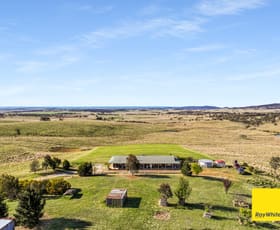 Rural / Farming commercial property for sale at 105 Fisher Road Currawang NSW 2580
