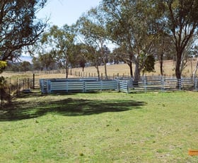Rural / Farming commercial property sold at "The Top Paddock" Bairds Crossing Road Dalgety NSW 2628
