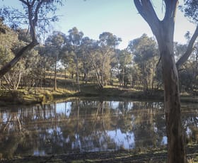 Rural / Farming commercial property for sale at 280 Mantons Road Gundagai NSW 2722