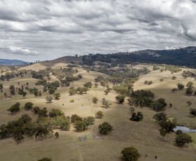 Rural / Farming commercial property sold at "Nelson's" Stock Route Rd Blandford NSW 2338