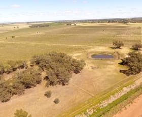 Rural / Farming commercial property for sale at Farm 2002 Carver Road Stanbridge NSW 2705