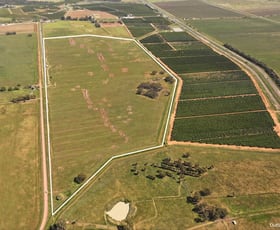 Rural / Farming commercial property for sale at Farm 2002 Carver Road Stanbridge NSW 2705