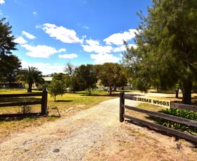 Rural / Farming commercial property for sale at 75 Tarrawingee Road Mumbil via Wellington NSW 2820