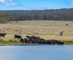 Rural / Farming commercial property sold at 2792 Old Stanthorpe Road Dalveen QLD 4374