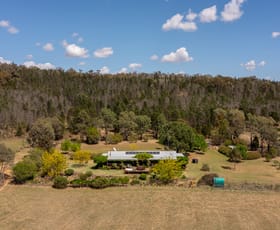 Rural / Farming commercial property sold at 919 Spring Ridge Road Gulgong NSW 2852