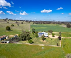 Rural / Farming commercial property for sale at 1150 Frogmore Road Boorowa NSW 2586