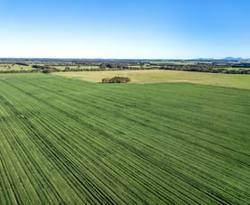 Rural / Farming commercial property sold at 3628 Hamilton Highway Caramut VIC 3274