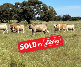 Rural / Farming commercial property sold at 157 Blake Road Bunnaloo NSW 2731