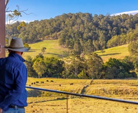 Rural / Farming commercial property sold at 107 Milligans Lane Firefly NSW 2429