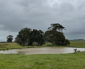 Rural / Farming commercial property for sale at Portland-Casterton Road Henty VIC 3312