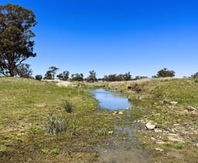 Rural / Farming commercial property sold at 1012 Coonabarabran Road Mendooran NSW 2842