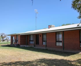 Rural / Farming commercial property sold at 229 Combo Road Maryvale NSW 2820