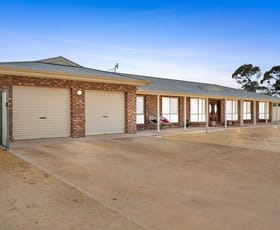 Rural / Farming commercial property for sale at 381 Old Sturt Highway Glossop SA 5344