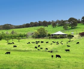 Rural / Farming commercial property sold at 217 Wildmere Road (Charley Creek) Donnybrook WA 6239