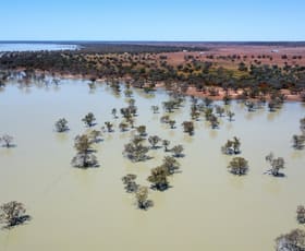 Rural / Farming commercial property sold at * Volo Station Wilcannia NSW 2836