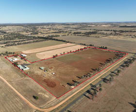 Rural / Farming commercial property for sale at Carcoola 20L Whitewood Road Dubbo NSW 2830